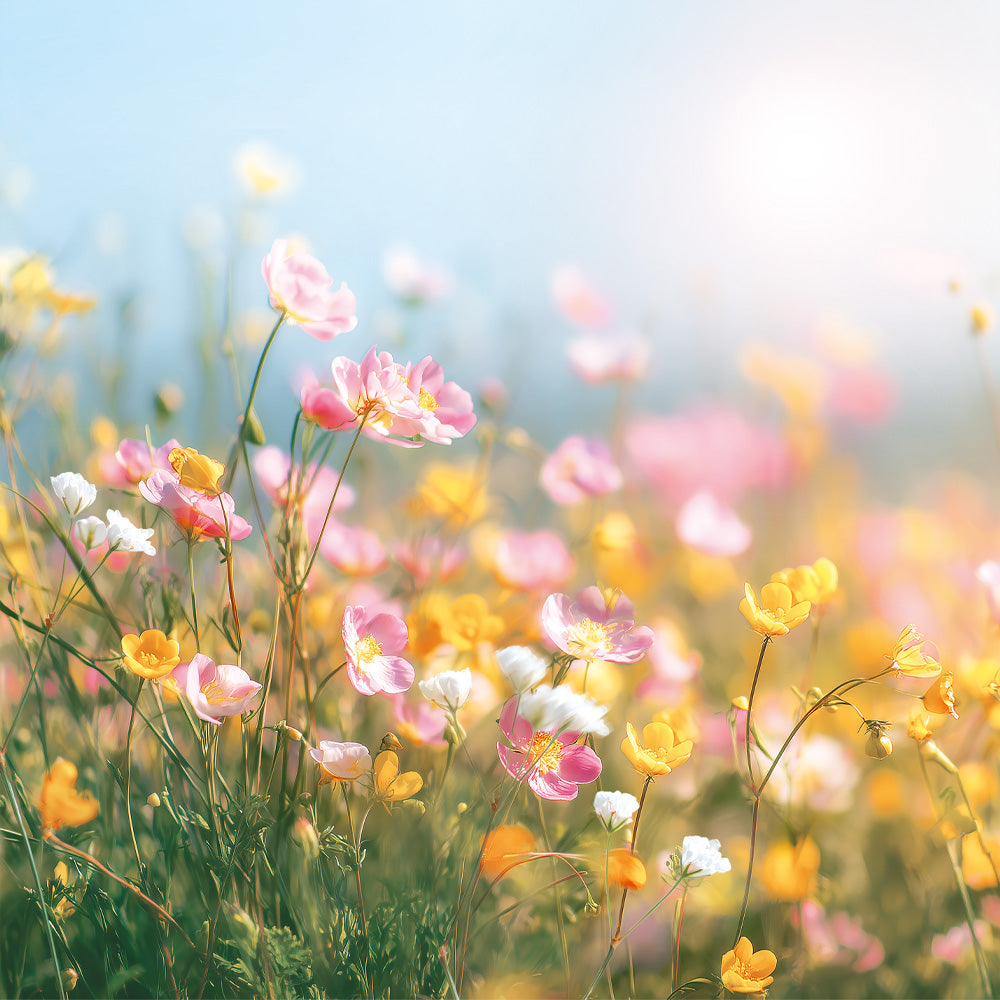 Sveža dišeča vodica Pudrasta magnolija in bergamotka