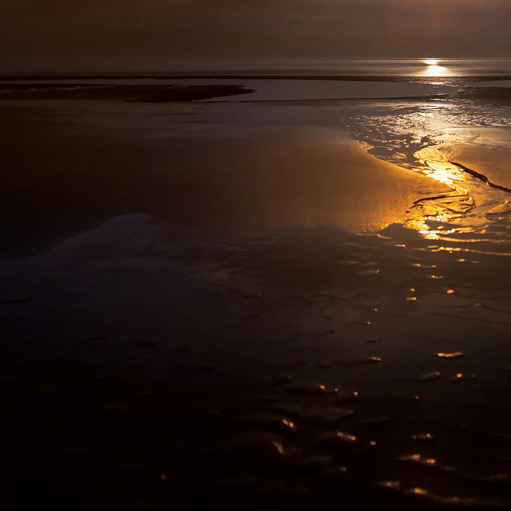 Eau de Parfum Cuir de Nuit