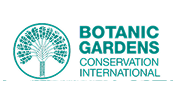 Logo 5